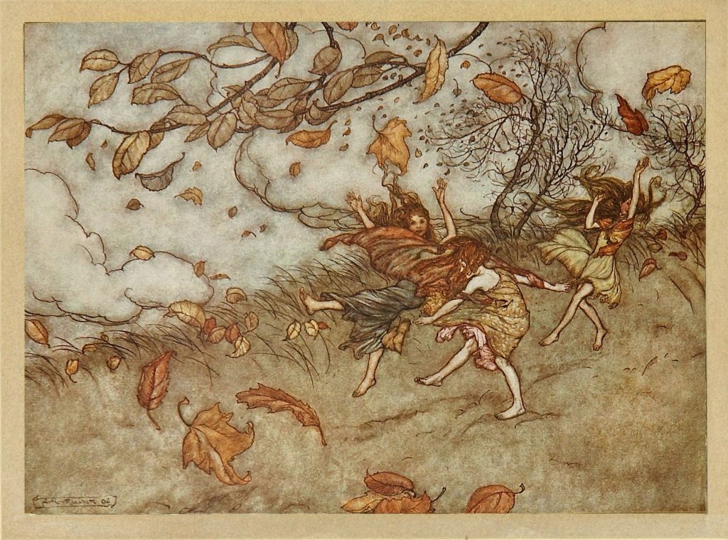 Peter Pan There is almost nothing that has such a keen sense of fun as a fallen leaf