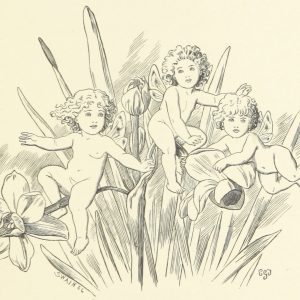 Fairies and Jonquils Illustration by E. Gertrude Thomson
