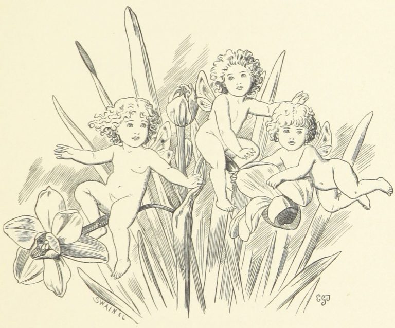Fairies and Jonquils Illustration by E. Gertrude Thomson