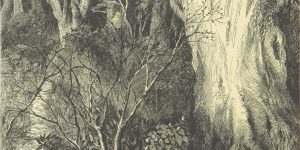 Adelaide Anne Procter In the Wood Poem