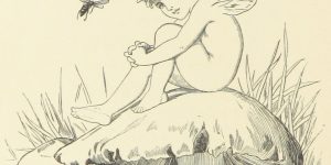 Fairy on Mushroom Illustration by E. Gertrude Thomson