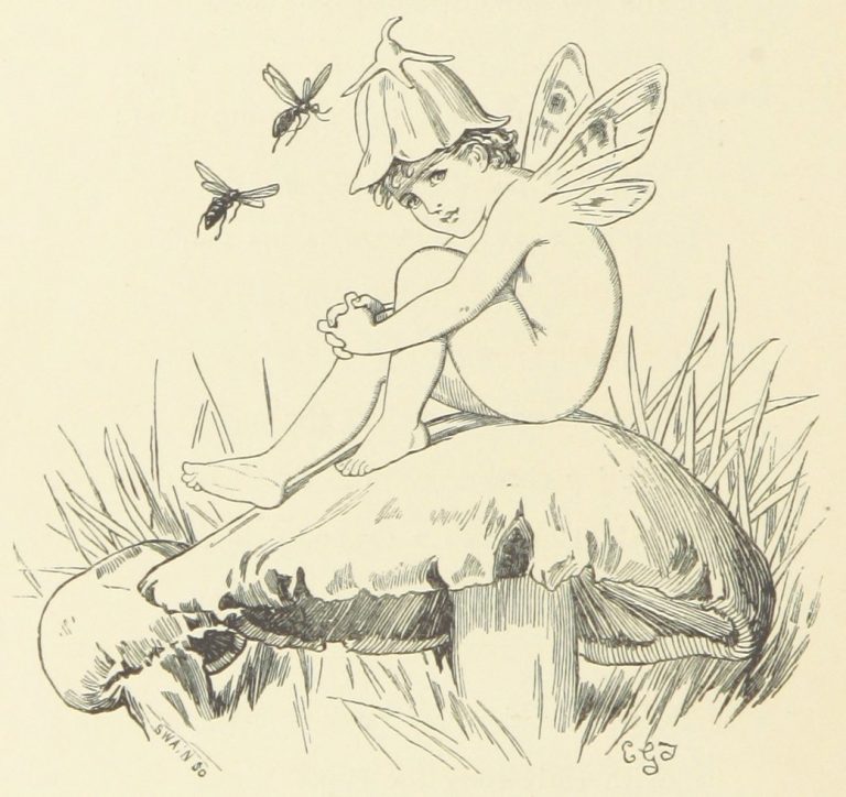 Fairy on Mushroom Illustration by E. Gertrude Thomson
