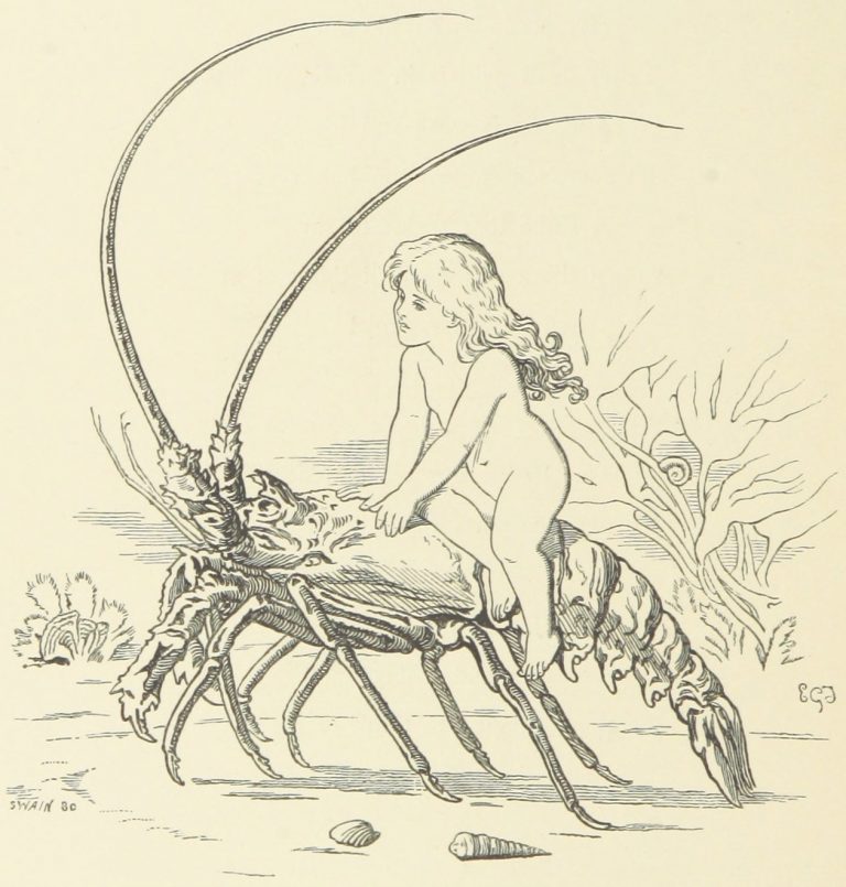 Fairy Riding on Cray-Fish Illustration by E. Gertrude Thomson