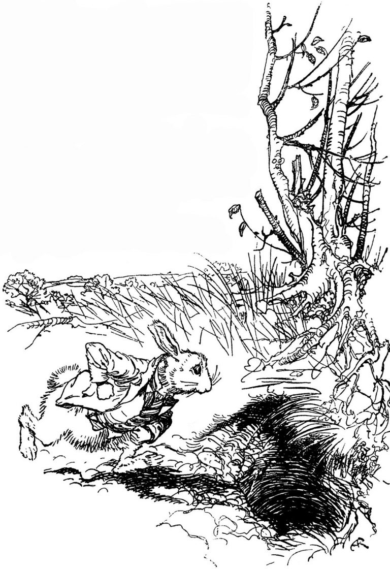 Alice's Adventures in Wonderland – A large rabbit-hole under the hedge