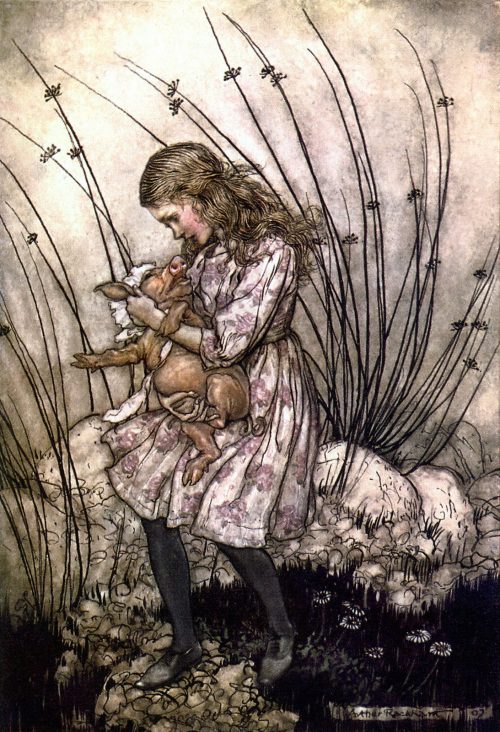 Alice's Adventures in Wonderland - It grunted again so violently that she looked down into its face in some alarm Illustration by Arthur Rackham