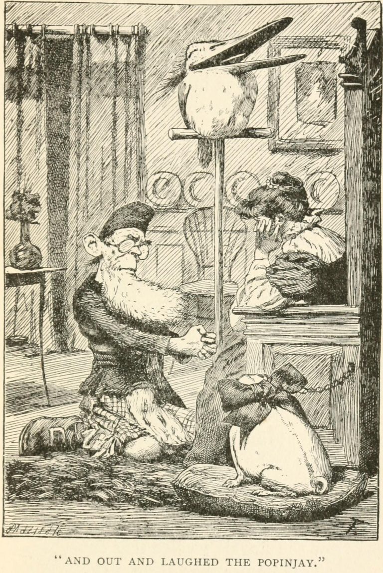 The Lang Coortin Poem - And out and laughed the popinjay Illustration by Arthur B. Frost