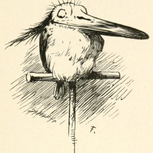 The Lang Coortin Poem - The popinjay Illustration by Arthur B. Frost