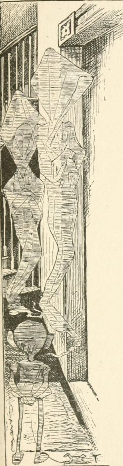 Phantasmagoria Poem - I stood and watched them in the hall Illustration by Arthur B. Frost