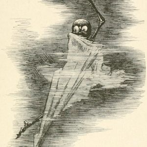 Phantasmagoria Poem - The phantom Illustration by Arthur B. Frost
