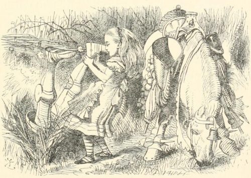 Through the Looking-Glass - Alice dragged the Knight out by the feet