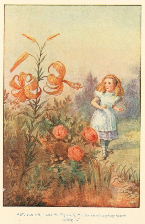 Through the Looking-Glass - We can talk, said the Tiger-lily, when there's anybody worth talking to Illustration by John Tenniel