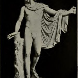 Apollo Belvedere From a photograph of the statue in the Vatican, Rome