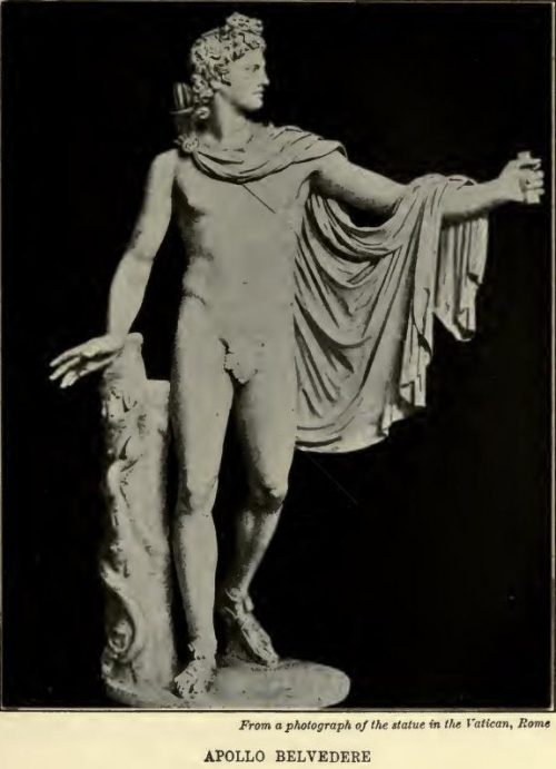 Apollo Belvedere From a photograph of the statue in the Vatican, Rome