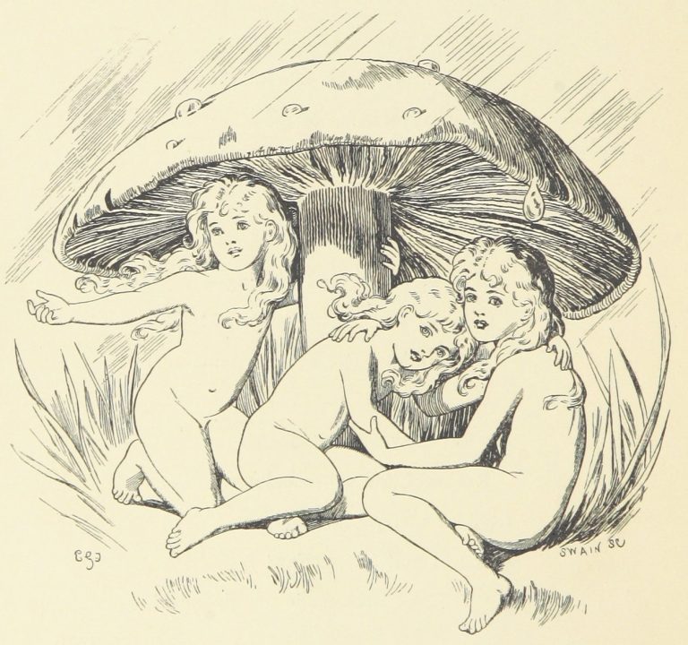 Fairies Under Mushroom Illustration by E. Gertrude Thomson
