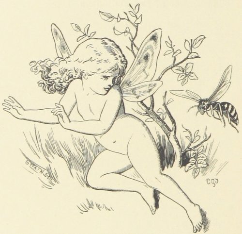 Fairy and Wasp Illustration by E. Gertrude Thomson
