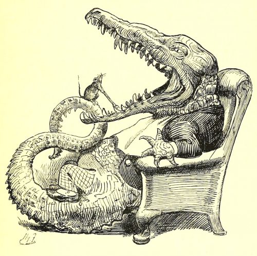 Sylvie and Bruno - He Wrenched Out That Crocodile's Toof! Illustration by Harry Furniss