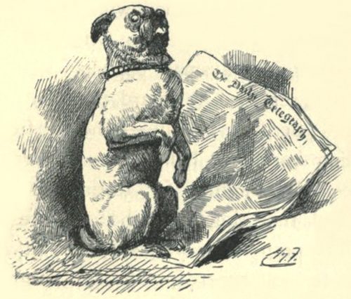 Sylvie and Bruno - The Pug-Dog Sat Up Illustration by Harry Furniss