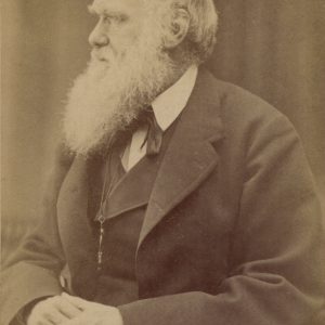 Charles Darwin Photograph by Oscar Rejlander