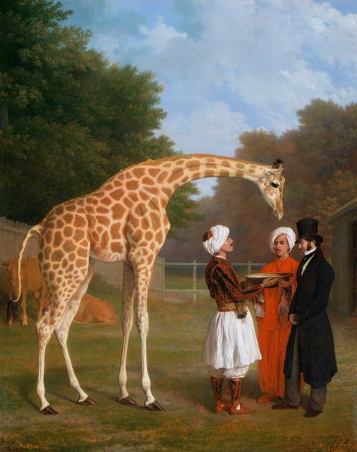 The Nubian Giraffe Painting by Jacques-Laurent Agasse